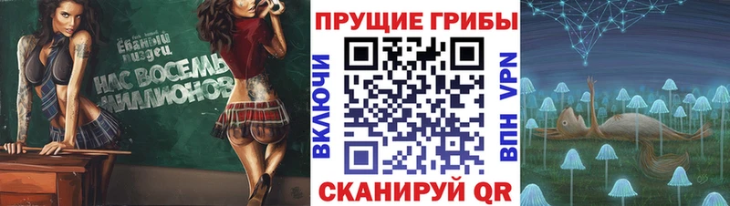 kraken маркетплейс  Безенчук  Псилоцибиновые грибы Cubensis 